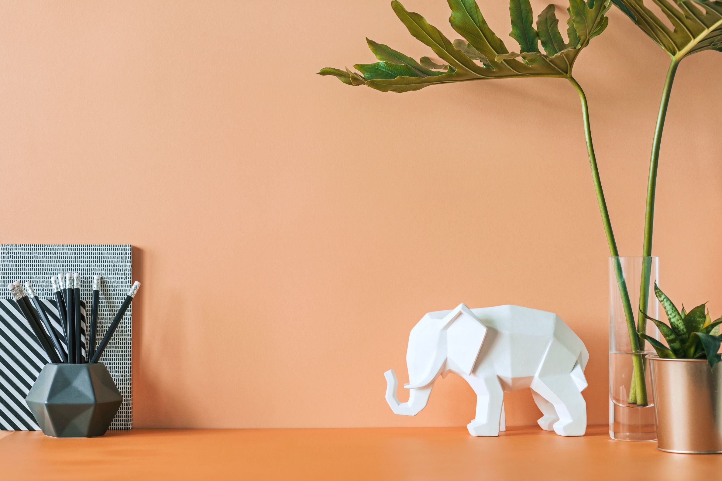 Vastu for Elephant Images Benefits & Placement of Elephant as per Vastu